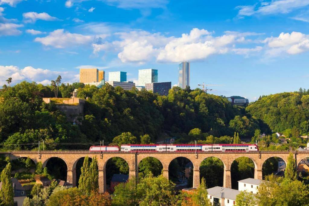 Large Family Retro Flat In City Center- Large Terrace & Garden View, Free Parking Luxembourg Bagian luar foto