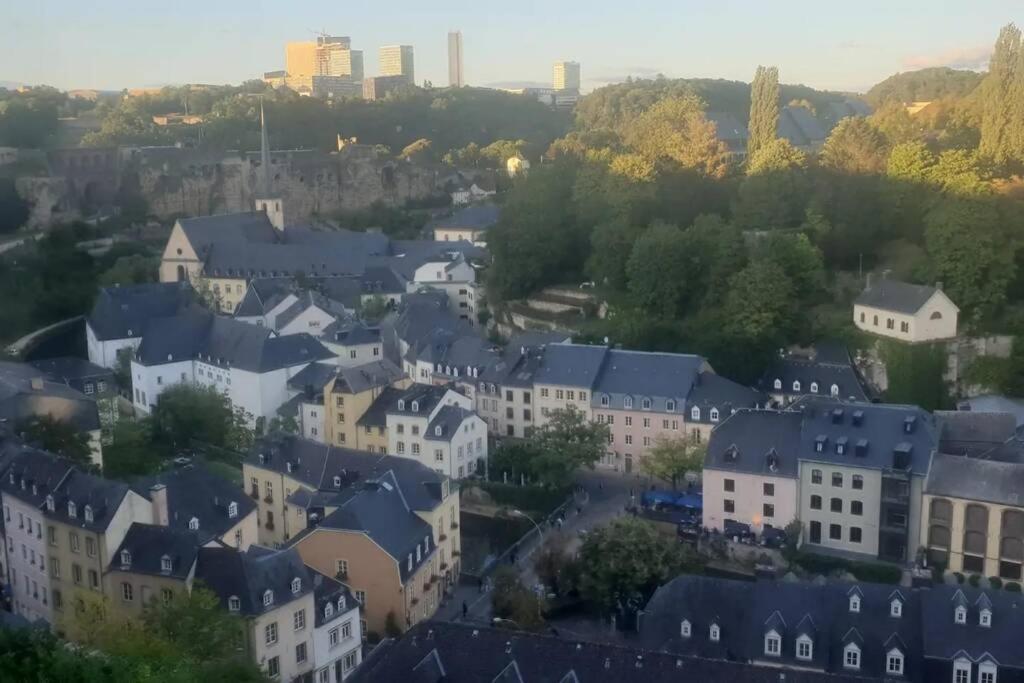 Large Family Retro Flat In City Center- Large Terrace & Garden View, Free Parking Luxembourg Bagian luar foto
