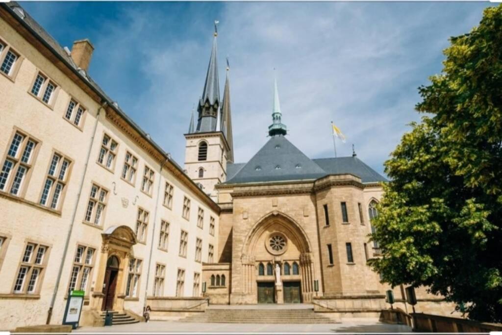 Large Family Retro Flat In City Center- Large Terrace & Garden View, Free Parking Luxembourg Bagian luar foto
